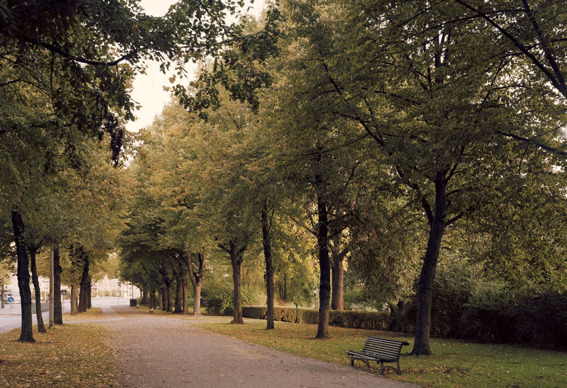 At udvikle sig ved at gøre en forskel