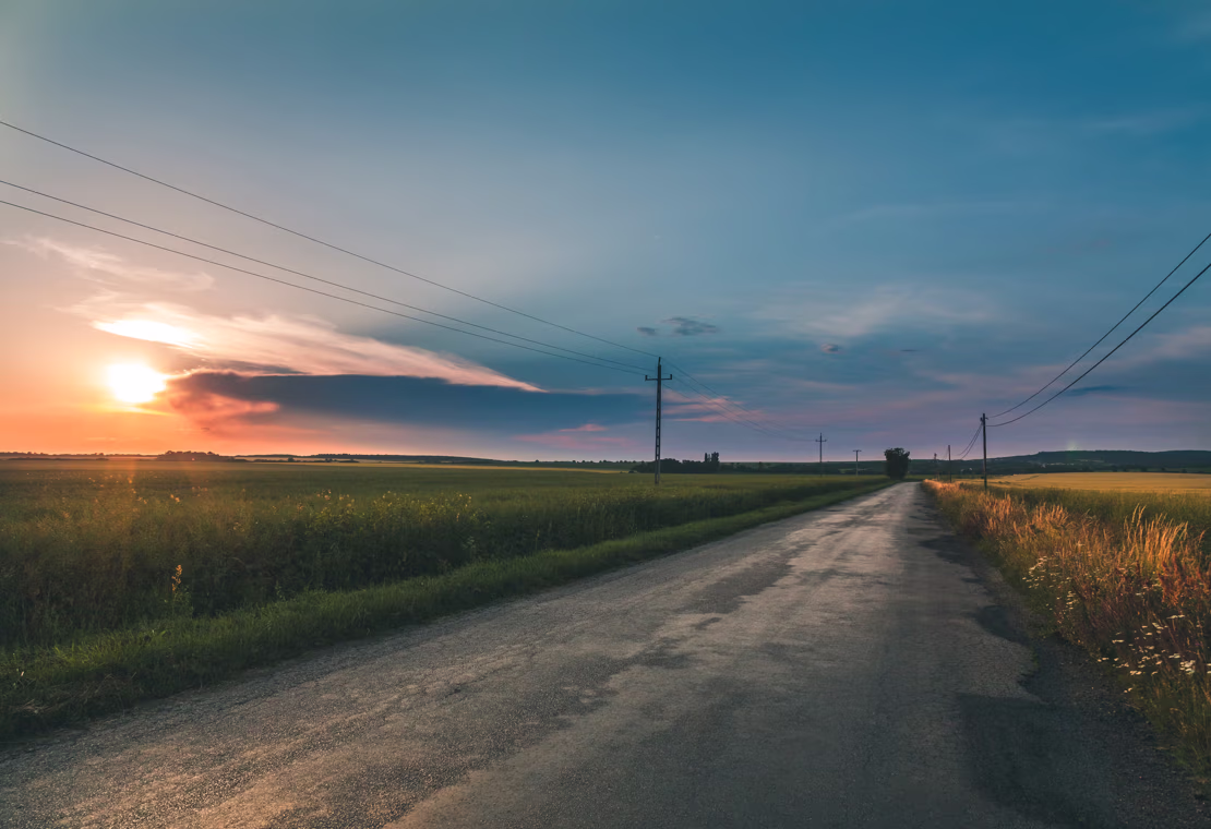 Rapporter – ekspertanalyser og undersøgelser