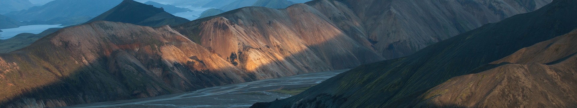 Indsigt – viden om inkasso og kreditstyring | Intrum