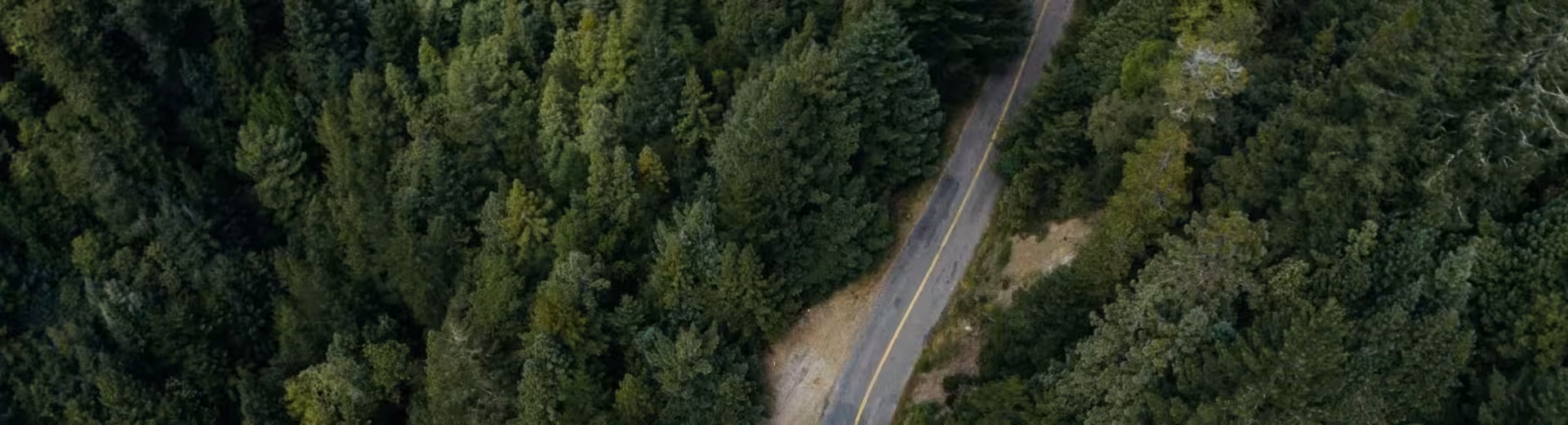 Lokal lovgivning, global tilstedeværelse